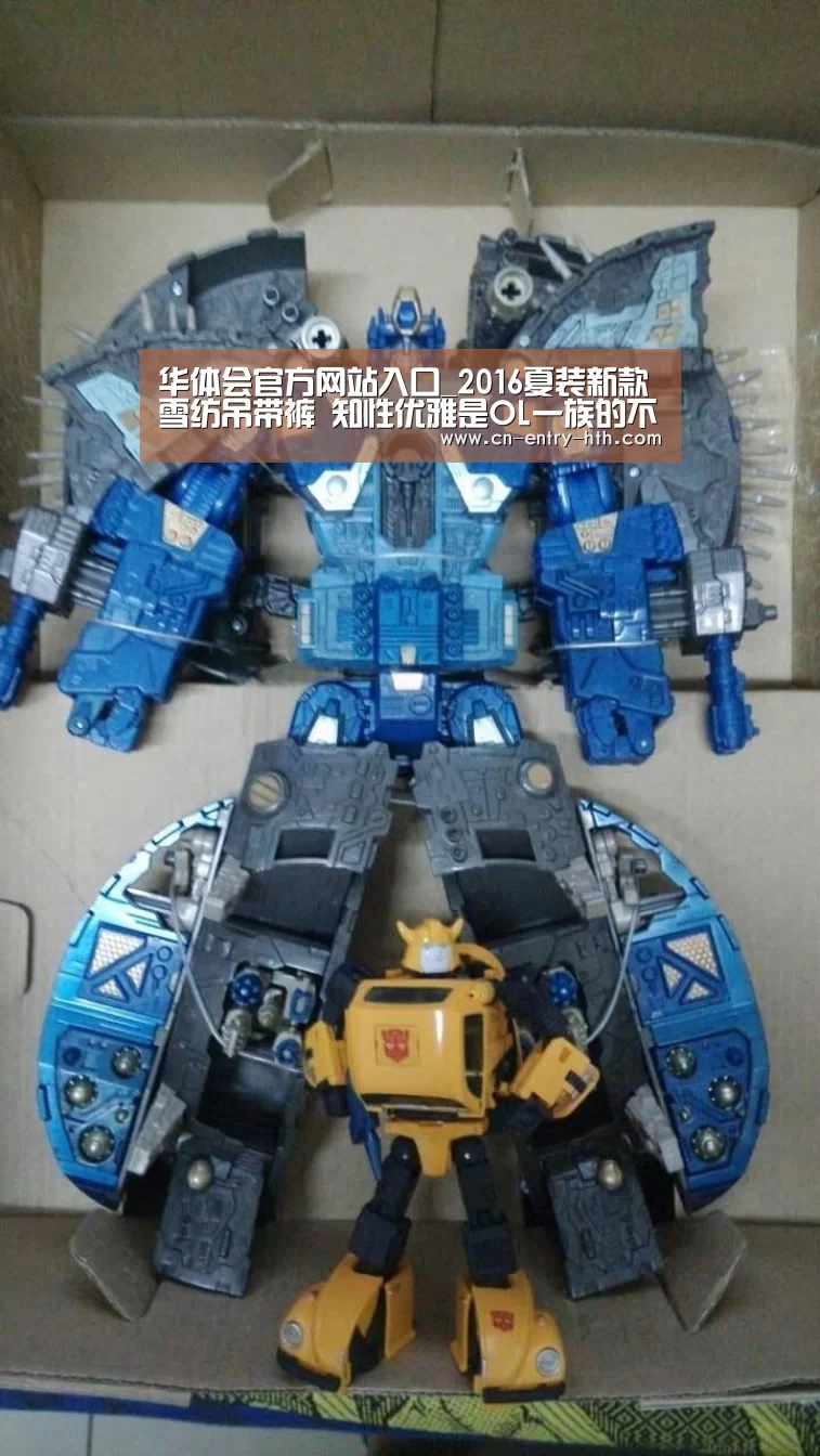 华体会官方网站入口_2016夏装新款雪纺吊带裤 知性优雅是OL一族的不二之选(图1) 华体会体育app下载