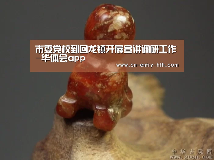 市委党校到回龙镇开展宣讲调研工作-华体会app(图1) 华体会官方网站入口