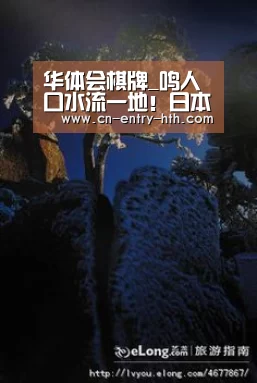 华体会棋牌_鸣人口水流一地!日本最好吃的拉面在这里(图3) 华体会棋牌