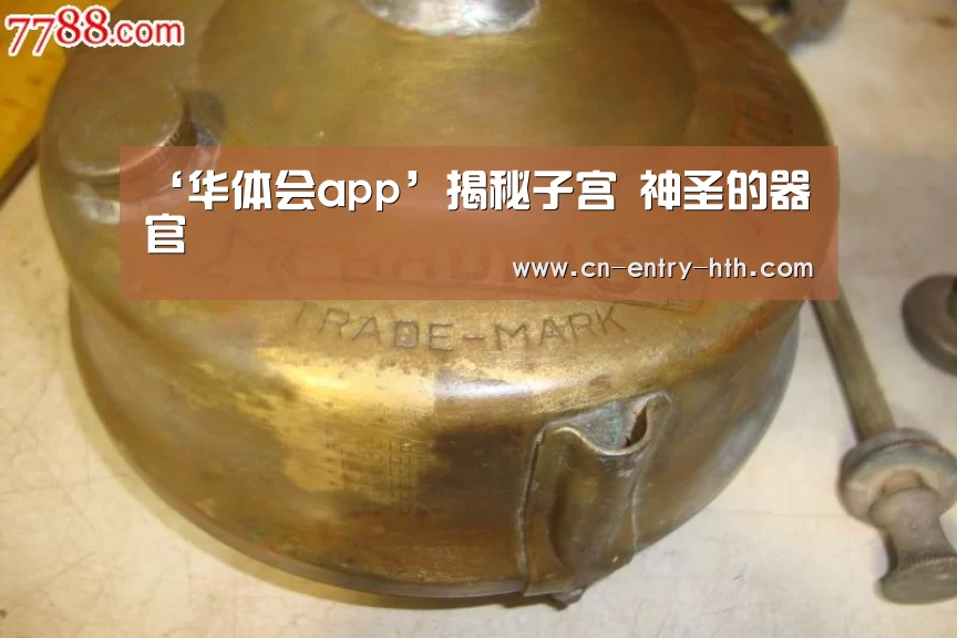 ‘华体会app’揭秘子宫 神圣的器官(图4) 华体会app