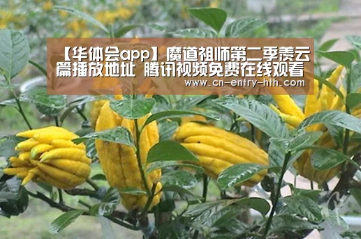 【华体会app】魔道祖师第二季羡云篇播放地址 腾讯视频免费在线观看入口(图3) 华体会官方网站入口
