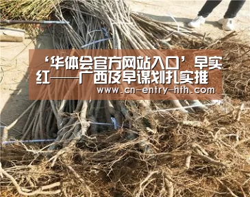 华体会体育app下载