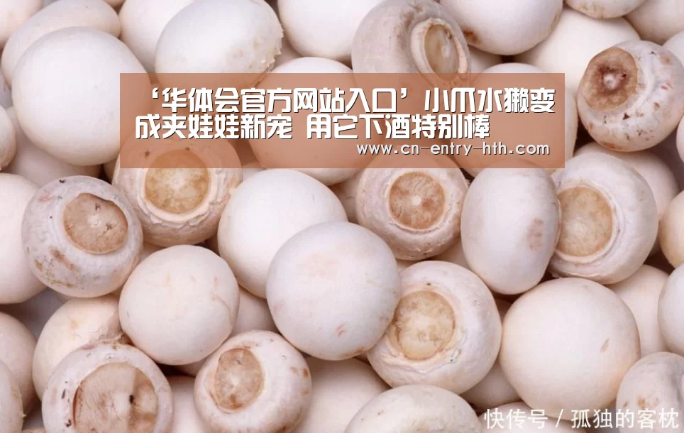 ‘华体会官方网站入口’小爪水獭变成夹娃娃新宠 用它下酒特别棒(图3) 华体会官方网站入口
