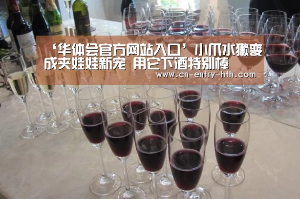‘华体会官方网站入口’小爪水獭变成夹娃娃新宠 用它下酒特别棒(图2) 华体会官方网站入口