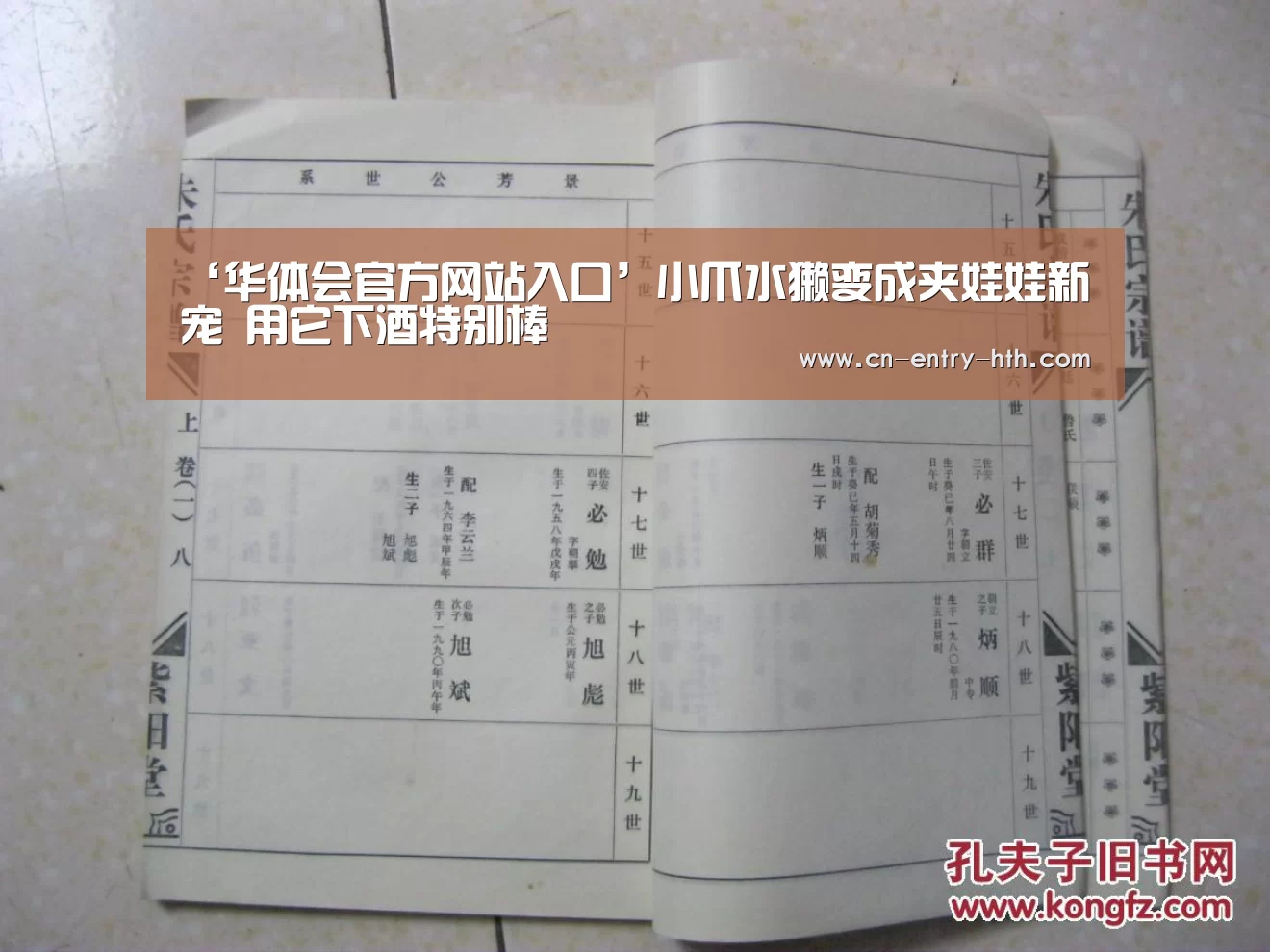 ‘华体会官方网站入口’小爪水獭变成夹娃娃新宠 用它下酒特别棒(图1) 华体会官方网站入口